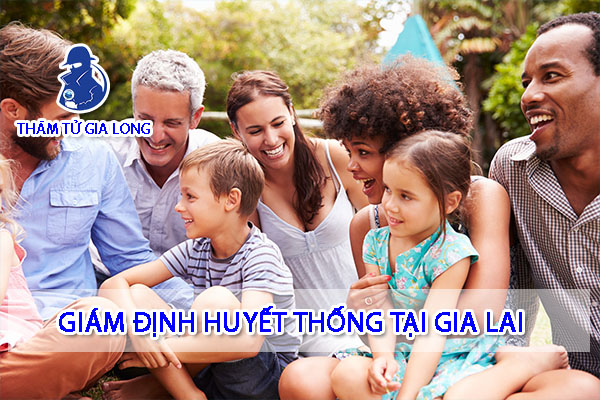 GIÁM ĐỊNH HUYẾT THỐNG TẠI GIA LAI